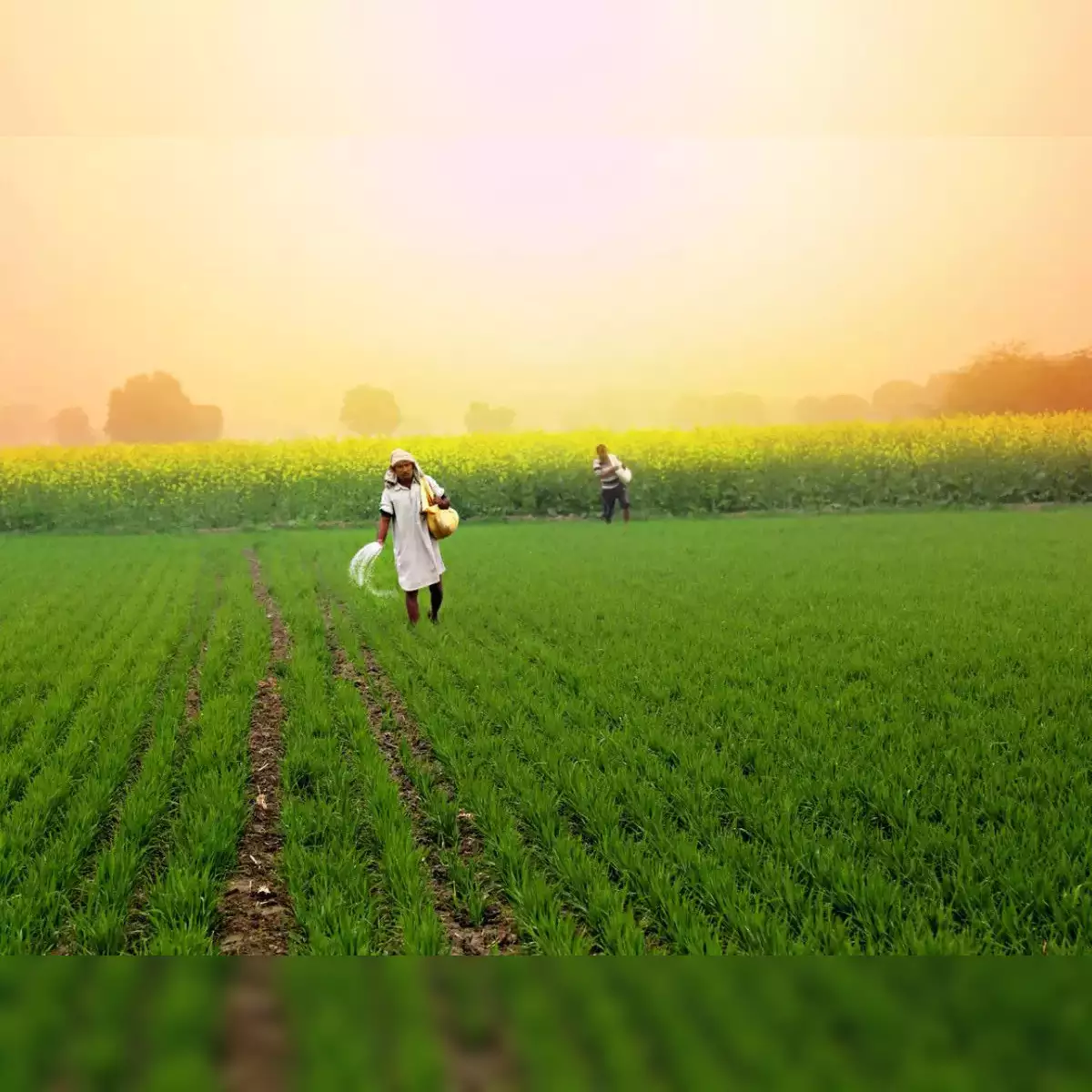 India’s Piping and Irrigation Sector Under Pressure: Stock Prices Plummet Amid Market Headwinds